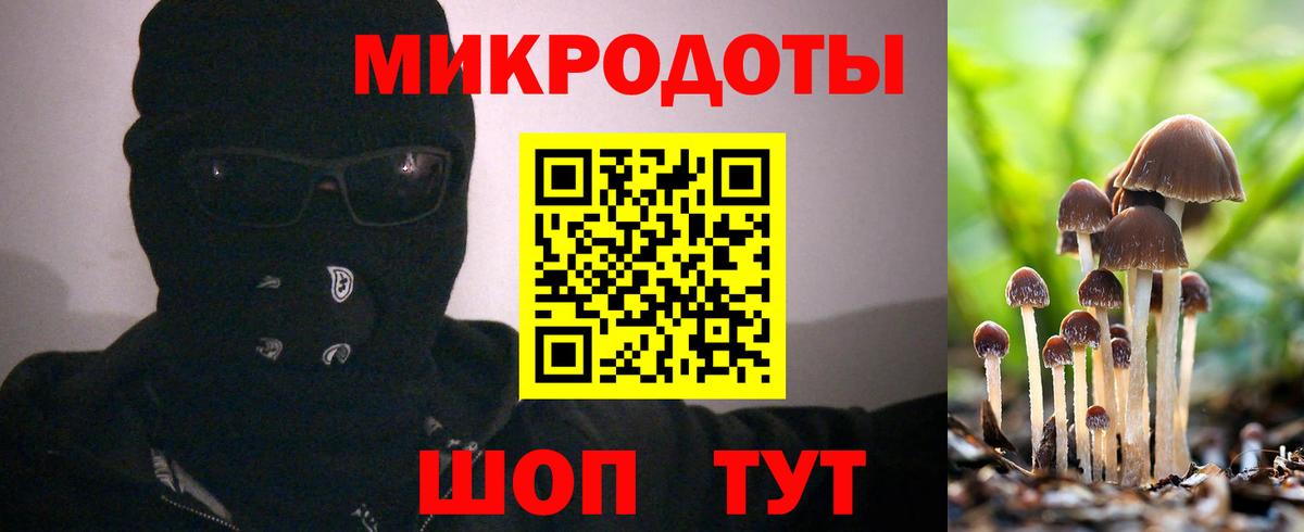 Чебоксары  Псилоцибиновые грибы Cubensis  Вход с VPN 