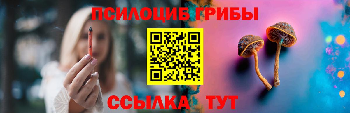 Галлюциногенные грибы прущие грибы Чебоксары